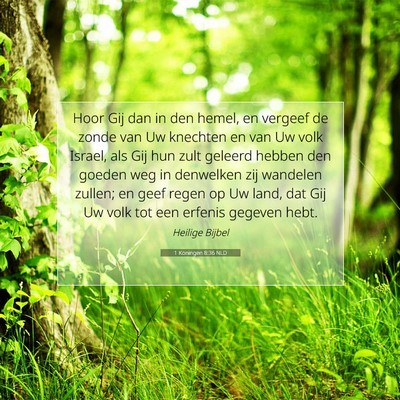 Picture 07 - 1 Koningen 8:36 NLD - Hoor Gij dan in den hemel, en vergeef de zonde - Bible Verse Picture