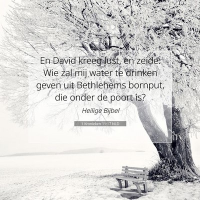 Picture 07 - 1 Kronieken 11:17 NLD - En David kreeg lust, en zeide: Wie zal mij water - Bible Verse Picture