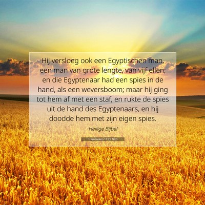 Picture 07 - 1 Kronieken 11:23 NLD - Hij versloeg ook een Egyptischen man, een man van - Bible Verse Picture