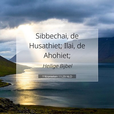 Picture 07 - 1 Kronieken 11:29 NLD - Sibbechai, de Husathiet; Ilai, de - Bible Verse Picture