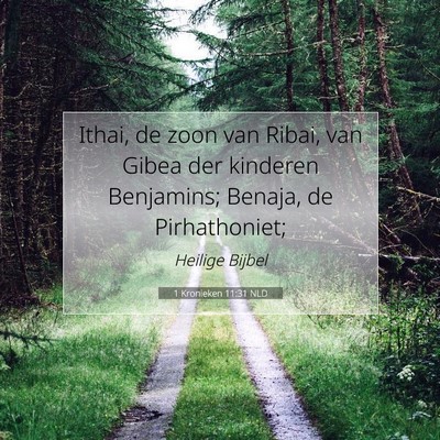 Picture 07 - 1 Kronieken 11:31 NLD - Ithai, de zoon van Ribai, van Gibea der kinderen - Bible Verse Picture