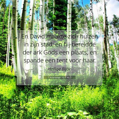 Picture 07 - 1 Kronieken 15:1 NLD - En David maakte zich huizen in zijn stad; en hij - Bible Verse Picture