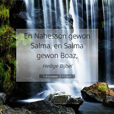 Picture 07 - 1 Kronieken 2:11 NLD - En Nahesson gewon Salma, en Salma gewon - Bible Verse Picture