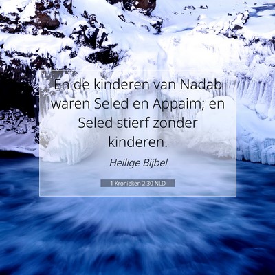 Picture 07 - 1 Kronieken 2:30 NLD - En de kinderen van Nadab waren Seled en Appaim; - Bible Verse Picture
