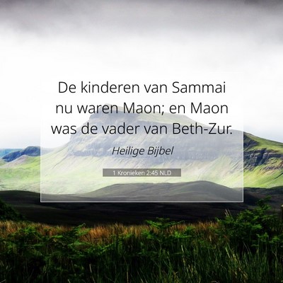 Picture 07 - 1 Kronieken 2:45 NLD - De kinderen van Sammai nu waren Maon; en Maon was - Bible Verse Picture