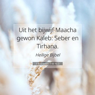 Picture 07 - 1 Kronieken 2:48 NLD - Uit het bijwijf Maacha gewon Kaleb: Seber en - Bible Verse Picture