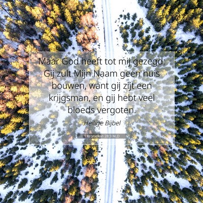 Picture 07 - 1 Kronieken 28:3 NLD - Maar God heeft tot mij gezegd: Gij zult Mijn Naam - Bible Verse Picture