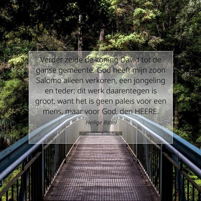 Picture 07 - 1 Kronieken 29:1 NLD - Verder zeide de koning David tot de ganse - Bible Verse Picture