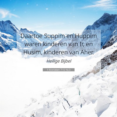 Picture 07 - 1 Kronieken 7:12 NLD - Daartoe Suppim en Huppim waren kinderen van Ir, - Bible Verse Picture