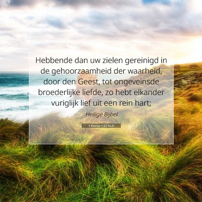 Picture 07 - 1 Petrus 1:22 NLD - Hebbende dan uw zielen gereinigd in de - Bible Verse Picture
