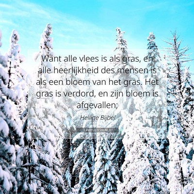 Picture 07 - 1 Petrus 1:24 NLD - Want alle vlees is als gras, en alle heerlijkheid - Bible Verse Picture