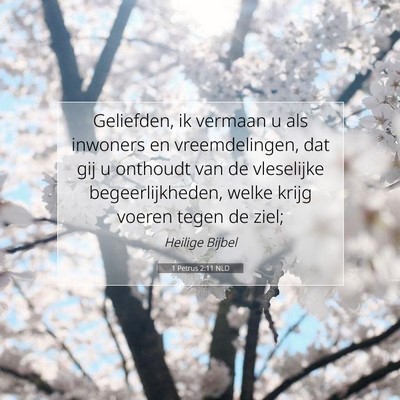 Picture 07 - 1 Petrus 2:11 NLD - Geliefden, ik vermaan u als inwoners en - Bible Verse Picture