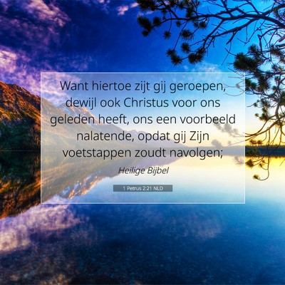 Picture 07 - 1 Petrus 2:21 NLD - Want hiertoe zijt gij geroepen, dewijl ook - Bible Verse Picture