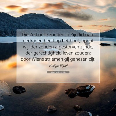 Picture 07 - 1 Petrus 2:24 NLD - Die Zelf onze zonden in Zijn lichaam gedragen - Bible Verse Picture