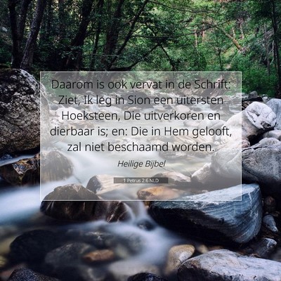 Picture 07 - 1 Petrus 2:6 NLD - Daarom is ook vervat in de Schrift: Ziet, Ik leg - Bible Verse Picture