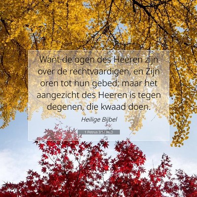 Picture 07 - 1 Petrus 3:12 NLD - Want de ogen des Heeren zijn over de - Bible Verse Picture
