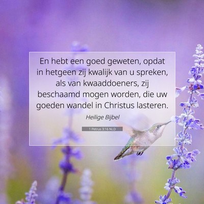 Picture 07 - 1 Petrus 3:16 NLD - En hebt een goed geweten, opdat in hetgeen zij - Bible Verse Picture