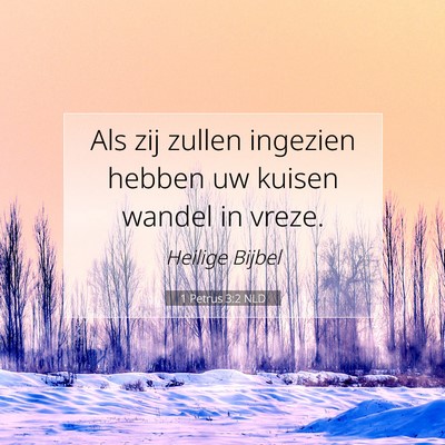 Picture 07 - 1 Petrus 3:2 NLD - Als zij zullen ingezien hebben uw kuisen wandel - Bible Verse Picture