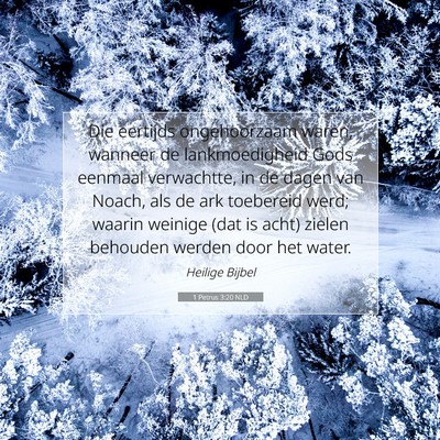 Picture 07 - 1 Petrus 3:20 NLD - Die eertijds ongehoorzaam waren, wanneer de - Bible Verse Picture