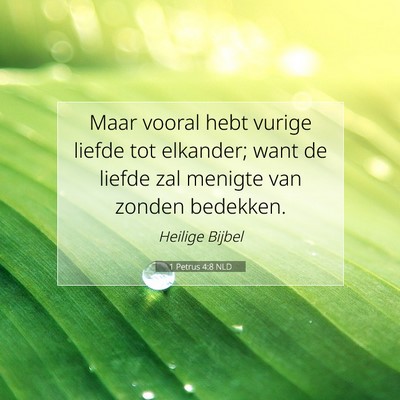 Picture 07 - 1 Petrus 4:8 NLD - Maar vooral hebt vurige liefde tot elkander; want - Bible Verse Picture