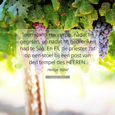 Picture 07 - 1 Samuël 1:9 NLD - Toen stond Hanna op, nadat hij gegeten, en nadat - Bible Verse Picture
