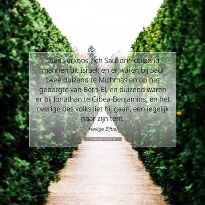 Picture 07 - 1 Samuël 13:2 NLD - Toen verkoos zich Saul drie duizend mannen uit - Bible Verse Picture