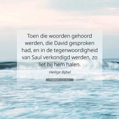 Picture 07 - 1 Samuël 17:31 NLD - Toen die woorden gehoord werden, die David - Bible Verse Picture