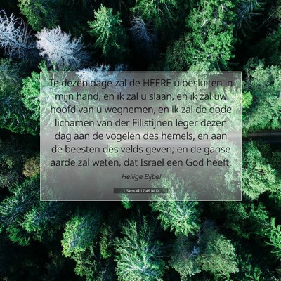 Picture 07 - 1 Samuël 17:46 NLD - Te dezen dage zal de HEERE u besluiten in mijn - Bible Verse Picture