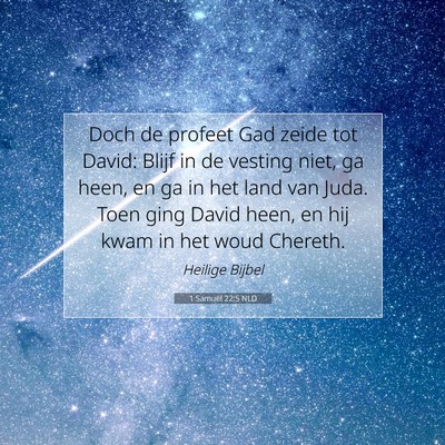 Picture 07 - 1 Samuël 22:5 NLD - Doch de profeet Gad zeide tot David: Blijf in de - Bible Verse Picture