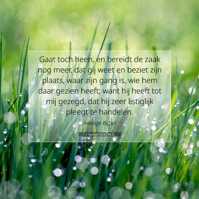 Picture 07 - 1 Samuël 23:22 NLD - Gaat toch heen, en bereidt de zaak nog meer, dat - Bible Verse Picture