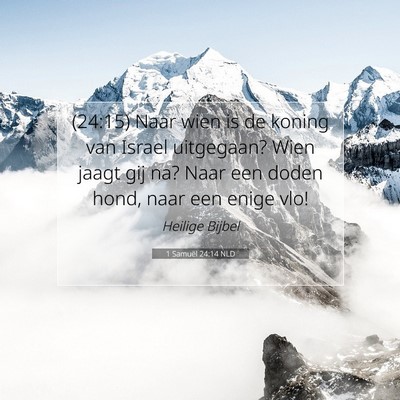 Picture 07 - 1 Samuël 24:14 NLD - (24:15) Naar wien is de koning van Israel - Bible Verse Picture