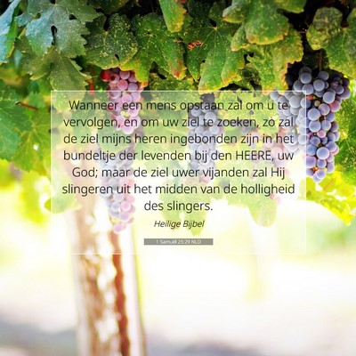 Picture 07 - 1 Samuël 25:29 NLD - Wanneer een mens opstaan zal om u te vervolgen, - Bible Verse Picture