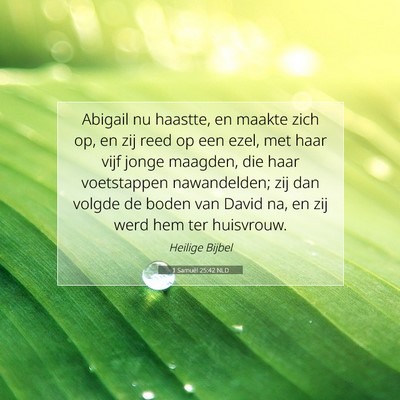 Picture 07 - 1 Samuël 25:42 NLD - Abigail nu haastte, en maakte zich op, en zij - Bible Verse Picture