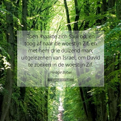 Picture 07 - 1 Samuël 26:2 NLD - Toen maakte zich Saul op, en toog af naar de - Bible Verse Picture
