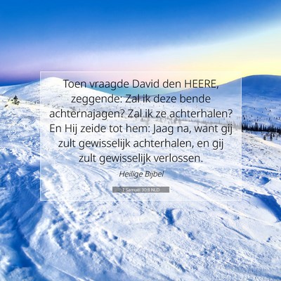 Picture 07 - 1 Samuël 30:8 NLD - Toen vraagde David den HEERE, zeggende: Zal ik - Bible Verse Picture