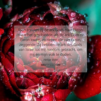 Picture 07 - 1 Samuël 5:10 NLD - Toen zonden zij de ark Gods naar Ekron; maar het - Bible Verse Picture