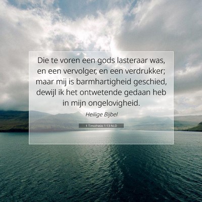 Picture 07 - 1 Timotheüs 1:13 NLD - Die te voren een gods lasteraar was, en een - Bible Verse Picture