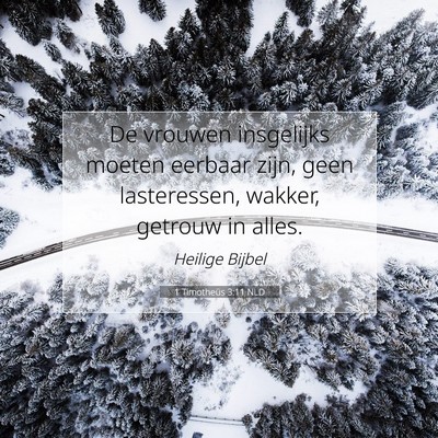 Picture 07 - 1 Timotheüs 3:11 NLD - De vrouwen insgelijks moeten eerbaar zijn, geen - Bible Verse Picture