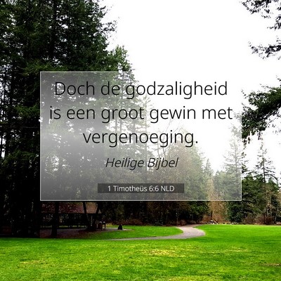 Picture 07 - 1 Timotheüs 6:6 NLD - Doch de godzaligheid is een groot gewin met - Bible Verse Picture