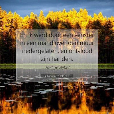 Picture 07 - 2 Corinthiër 11:33 NLD - En ik werd door een venster in een mand over den - Bible Verse Picture