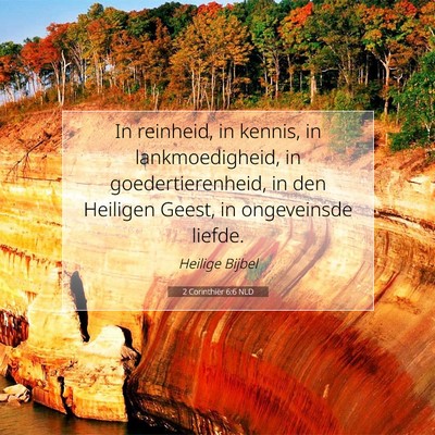 Picture 07 - 2 Corinthiër 6:6 NLD - In reinheid, in kennis, in lankmoedigheid, in - Bible Verse Picture