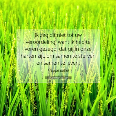 Picture 07 - 2 Corinthiër 7:3 NLD - Ik zeg dit niet tot uw veroordeling; want ik heb - Bible Verse Picture