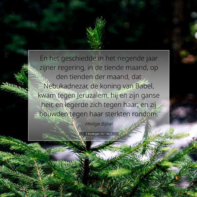 Picture 07 - 2 Koningen 25:1 NLD - En het geschiedde in het negende jaar zijner - Bible Verse Picture