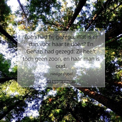 Picture 07 - 2 Koningen 4:14 NLD - Toen had hij gezegd: Wat is er dan voor haar te - Bible Verse Picture