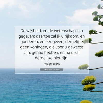 Picture 07 - 2 Kronieken 1:12 NLD - De wijsheid, en de wetenschap is u gegeven; - Bible Verse Picture