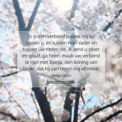 Picture 07 - 2 Kronieken 16:3 NLD - Er is een verbond tussen mij en tussen u, en - Bible Verse Picture