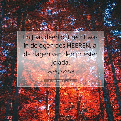 Picture 07 - 2 Kronieken 24:2 NLD - En Joas deed dat recht was in de ogen des HEEREN, - Bible Verse Picture