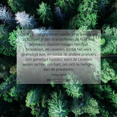 Picture 07 - 2 Kronieken 29:34 NLD - Doch van de priesteren waren er te weinig, en zij - Bible Verse Picture