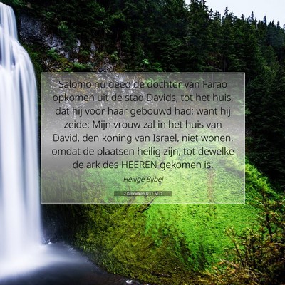 Picture 07 - 2 Kronieken 8:11 NLD - Salomo nu deed de dochter van Farao opkomen uit - Bible Verse Picture
