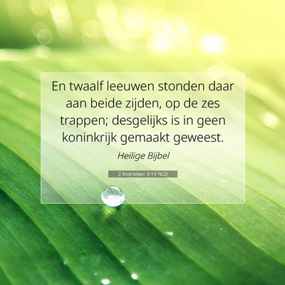 Picture 07 - 2 Kronieken 9:19 NLD - En twaalf leeuwen stonden daar aan beide zijden, - Bible Verse Picture
